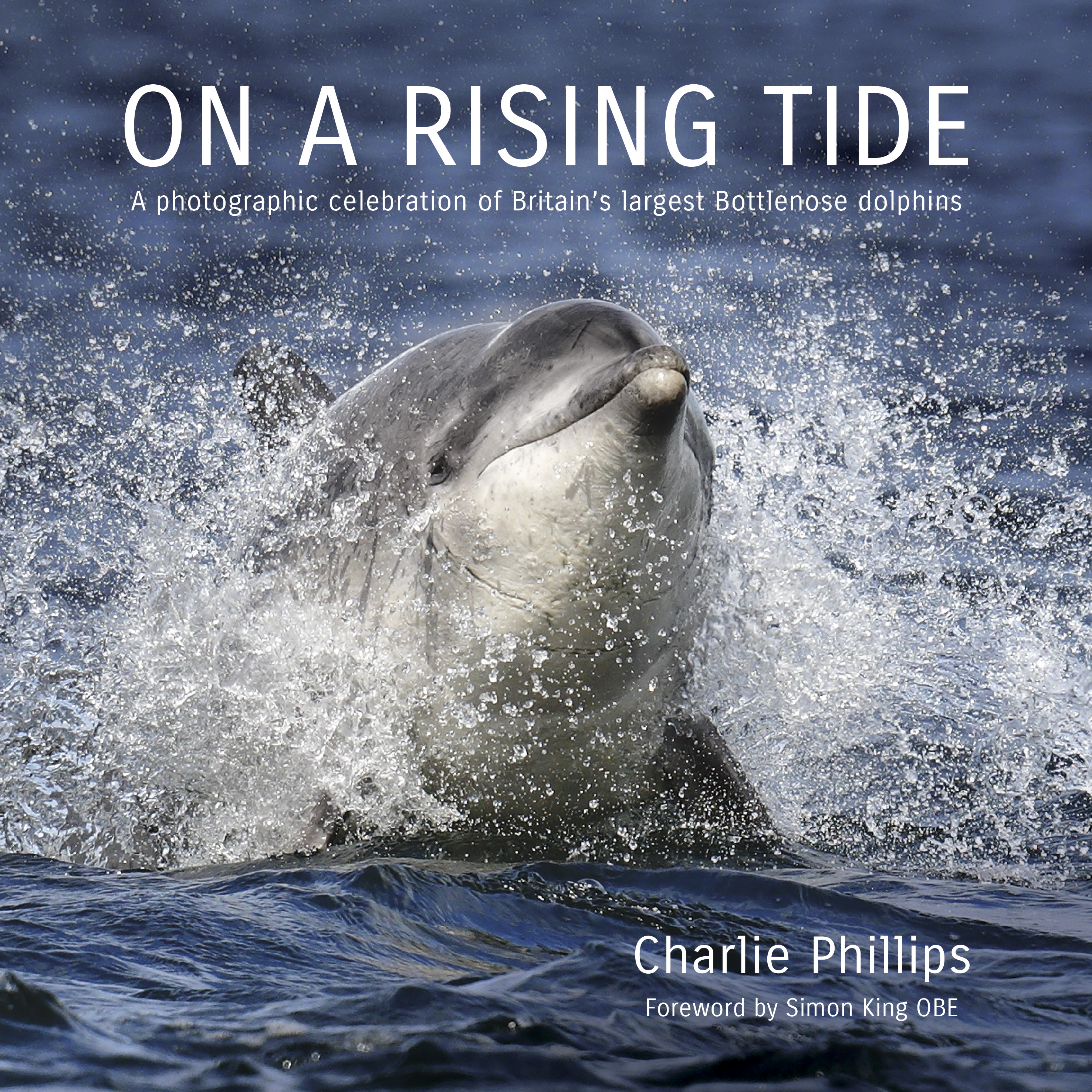 Cover On a Rising Tide